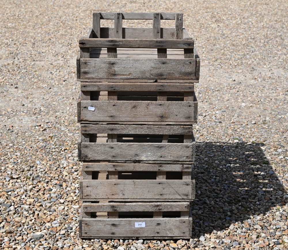 Five Vintage 'W. B. Layman' wooden apple crates, 76 cm w x 45 cm d x 16 cm h to/w three galvanized - Image 4 of 8