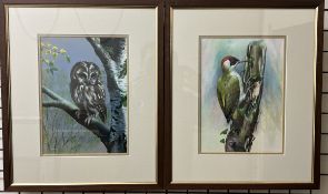 Desmund Leeke Study of an owl Watercolour Signed Together with another of a woodpecker