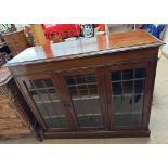 An early 20th century mahogany side cabinet with a rectangular top and moulded cornice above a pair