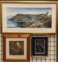 Charles Kelly A bald eagle in flight Watercolour Signed Together with a watercolour by Helen Clark