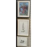 Janet Watkins Fox gloves Watercolour Signed Together with two other watercolours by the same artist