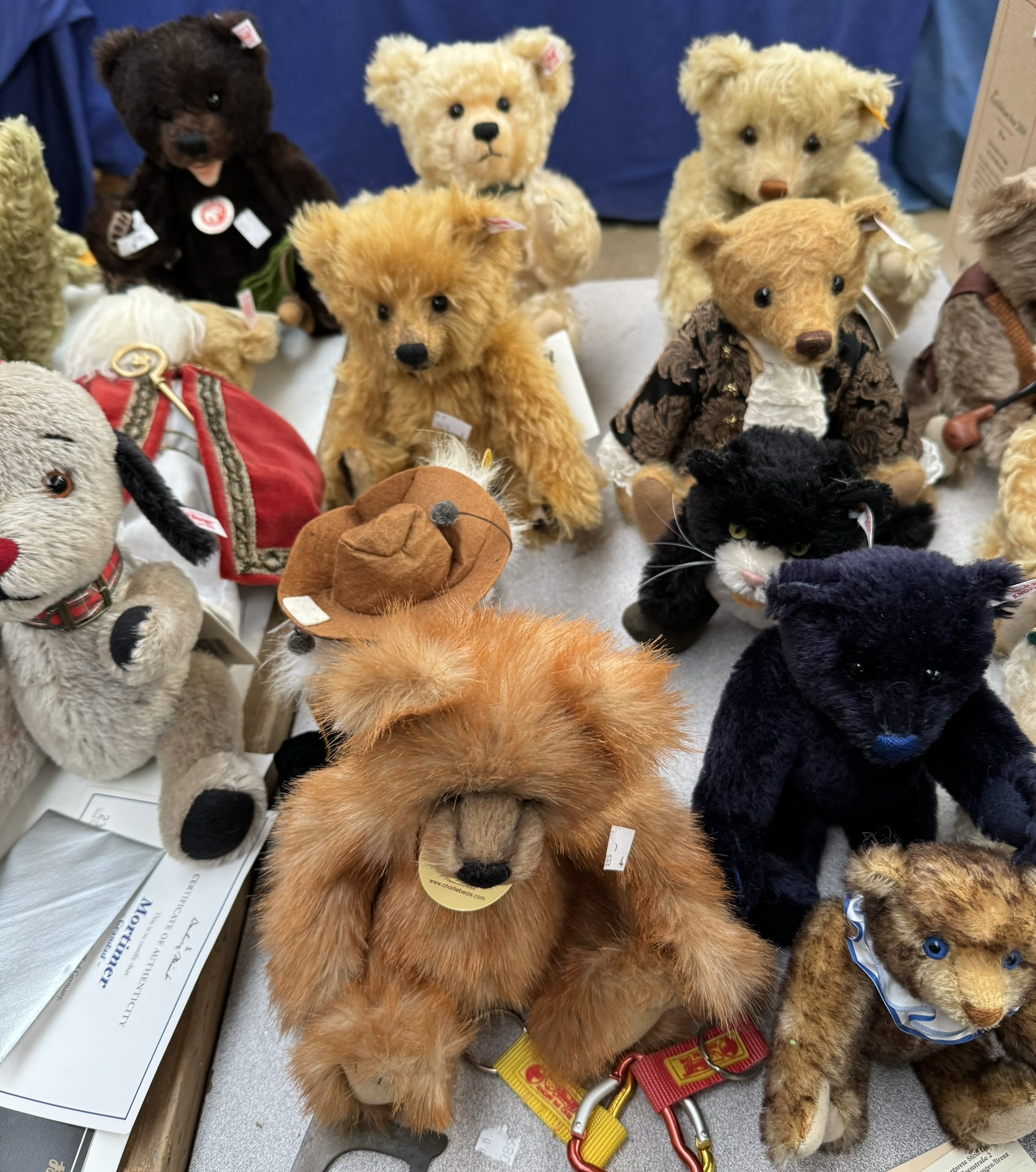 A collection of modern Steiff teddy bears including Blond Biker, Livingstone, - Bild 3 aus 5