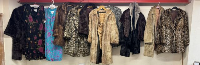 Two Cattiva 100% Silk dresses size 12 together with fur and faux fur coats
