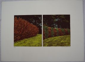 Ivor Abrahams (1935-2015) Garden Suite II (Diptych) Screenprint on paper Signed and dated '70 to