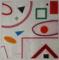 Ian Cameron McNicol Geometric Rejection Intaglio print, No.