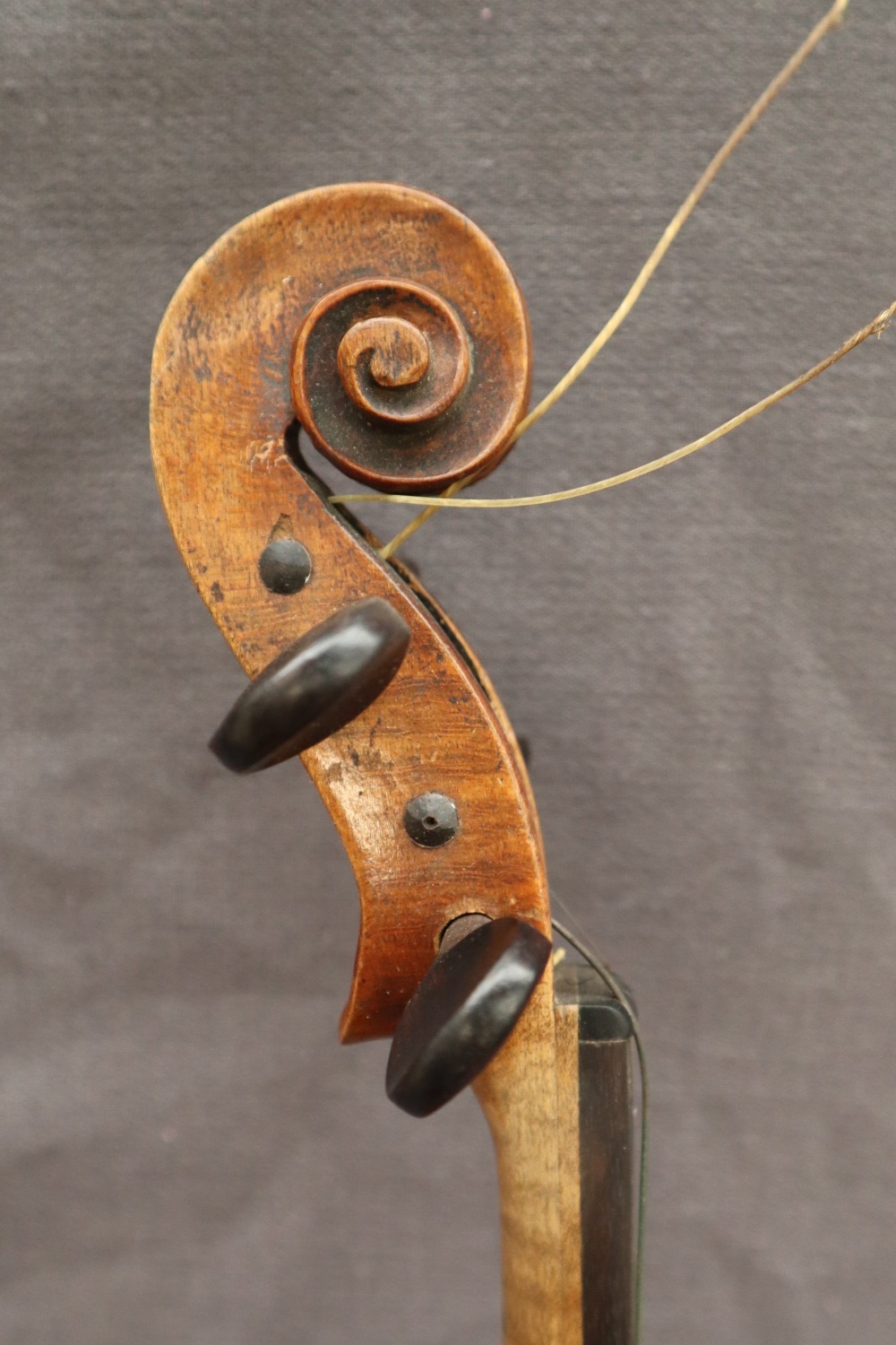 A Violin with two piece back and ebony stringing, overall 58.5cm long, back not including button 35. - Image 9 of 14