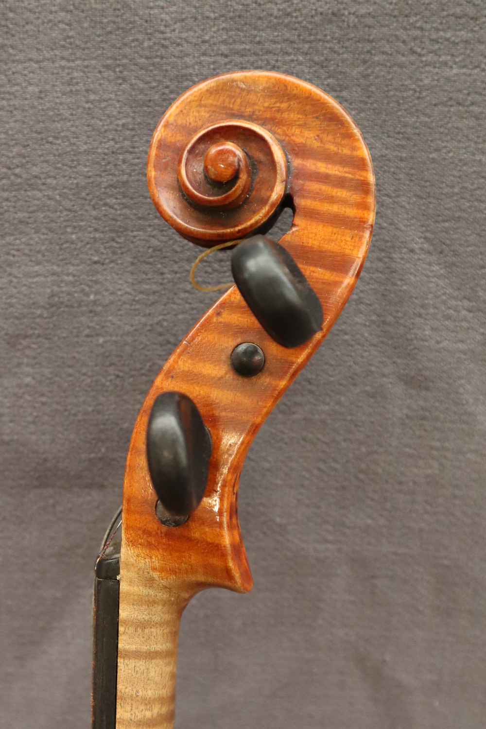 A three quarter size violin, with a two piece back and ebony stringing, bears a label El Tesoro, - Image 10 of 15