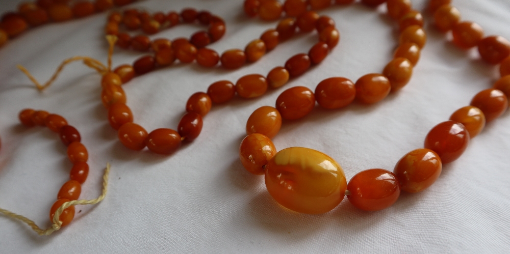 An amber bead necklace with graduated beads, - Image 2 of 3