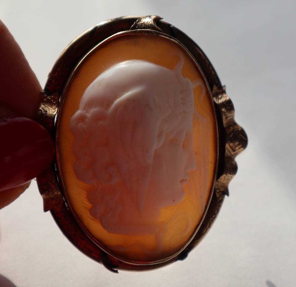 A shell cameo brooch depicting Medusa in a yellow metal mount, - Image 6 of 8