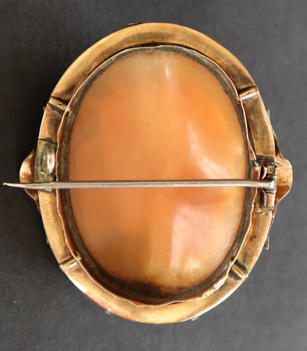 A shell cameo brooch depicting Medusa in a yellow metal mount, - Bild 8 aus 8