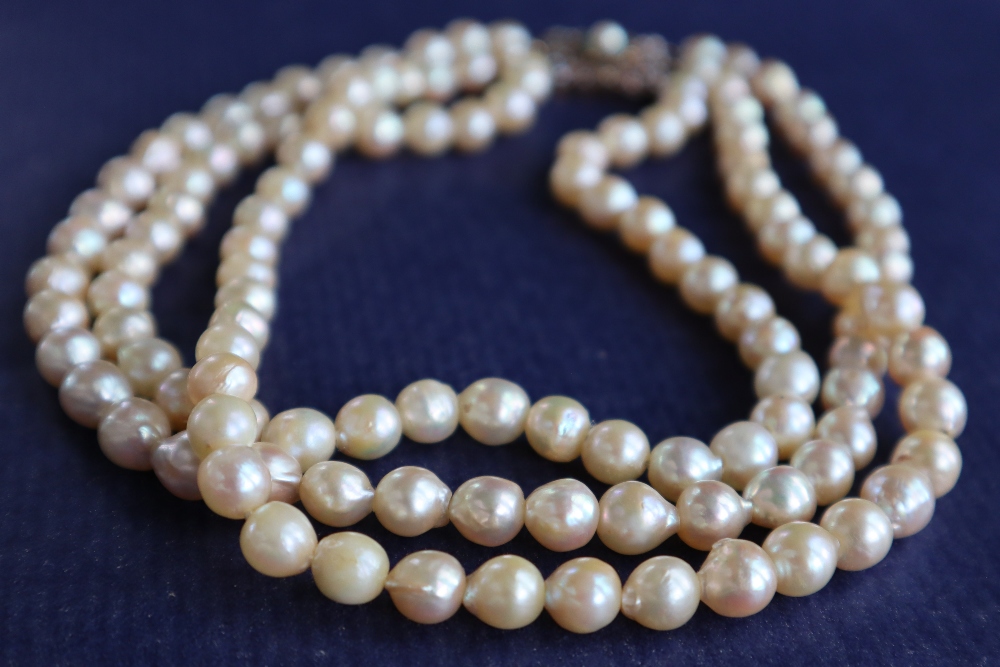 A three strand pearl necklace / choker, - Bild 3 aus 6