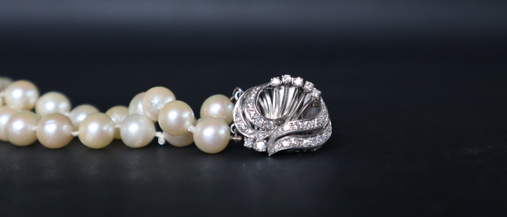 A double strand pearl necklace set with one hundred and twenty one regular pearls to a white metal - Image 5 of 5