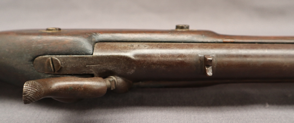 A two band percussion rifle with a ramrod and walnut stock, - Image 8 of 8