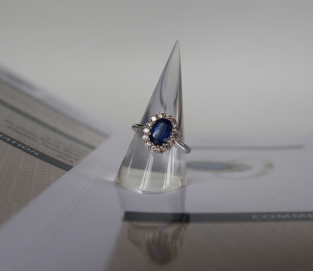 An 18ct white gold kyanite and diamond cluster ring set with an oval faceted Kyanite approximately