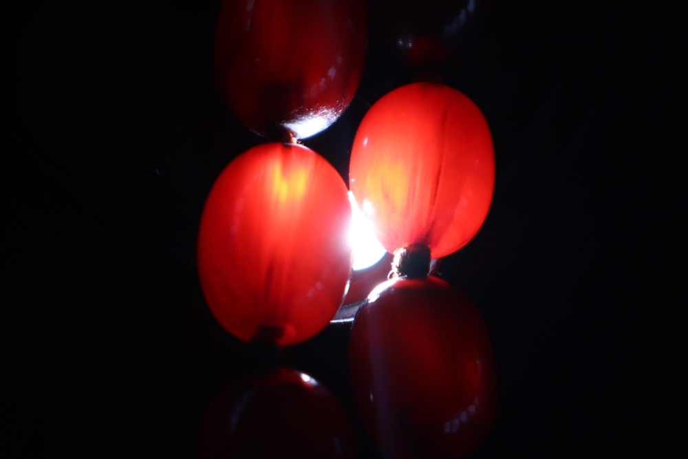 A string of cherry amber / bakelite beads, - Bild 17 aus 17