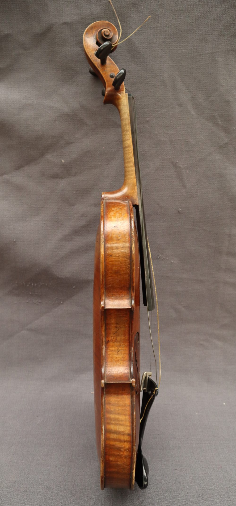 A Violin with two piece back and ebony stringing, overall 58.5cm long, back not including button 35. - Image 4 of 14