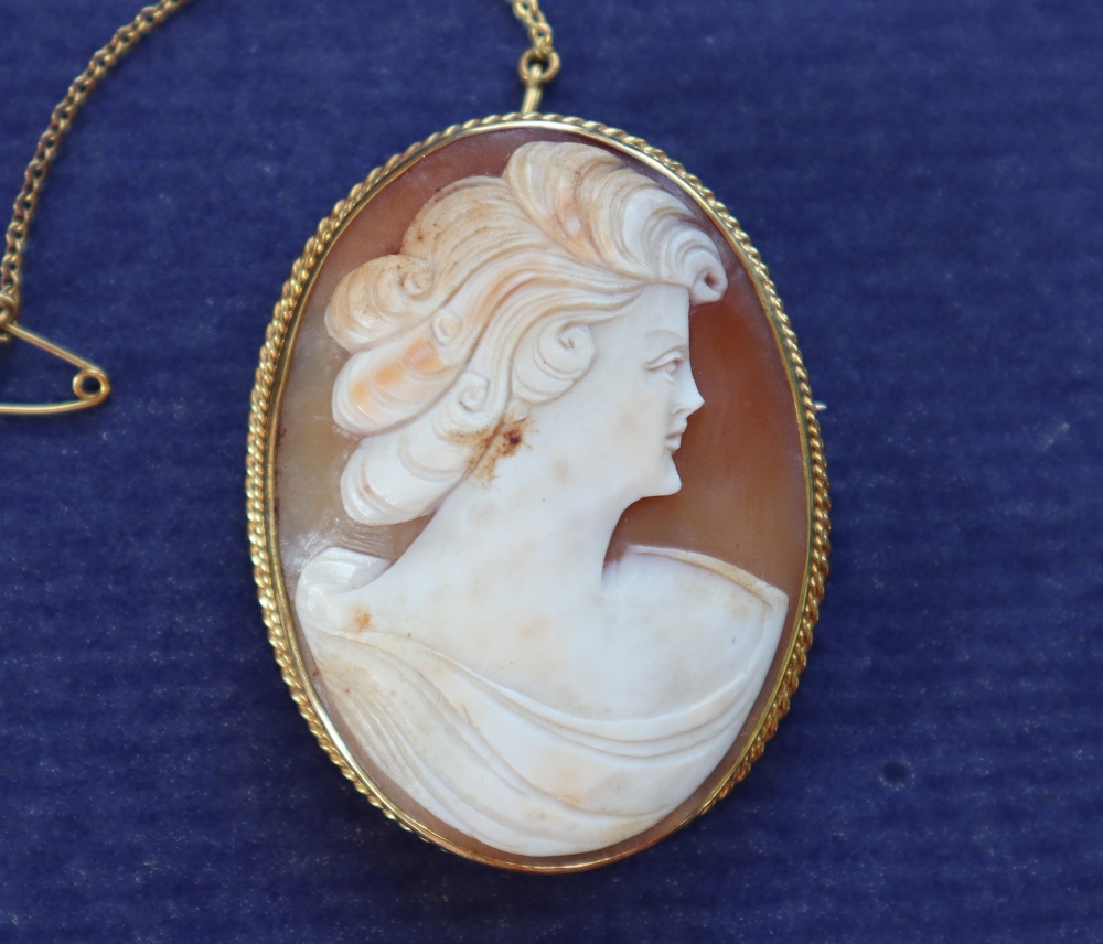 A shell cameo brooch in the form of a maiden in profile in a 9ct gold mount,