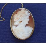 A shell cameo brooch in the form of a maiden in profile in a 9ct gold mount,