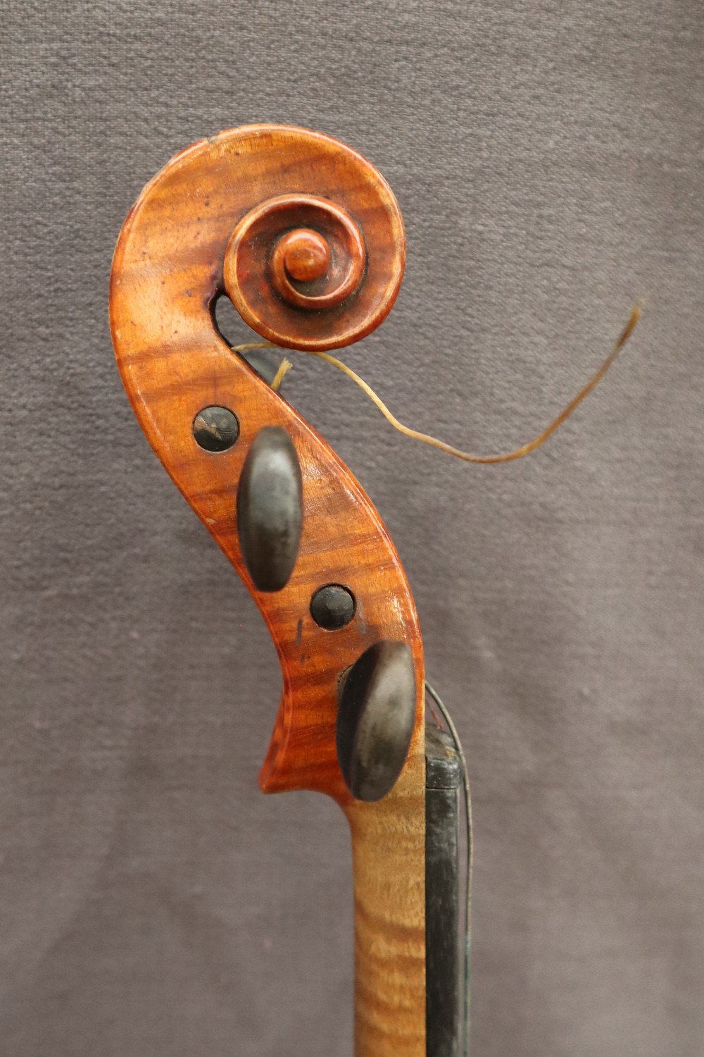 A three quarter size violin, with a two piece back and ebony stringing, bears a label El Tesoro, - Image 8 of 15