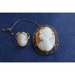 A shell cameo brooch of a lady in profile in a 9ct gold mount together with an 18ct gold shell