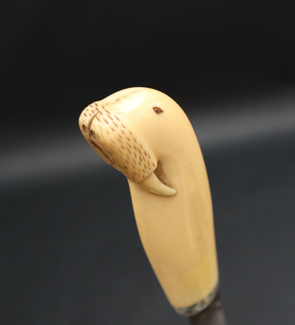 A walrus ivory dagger, the handle in the form of a walrus, - Bild 5 aus 6