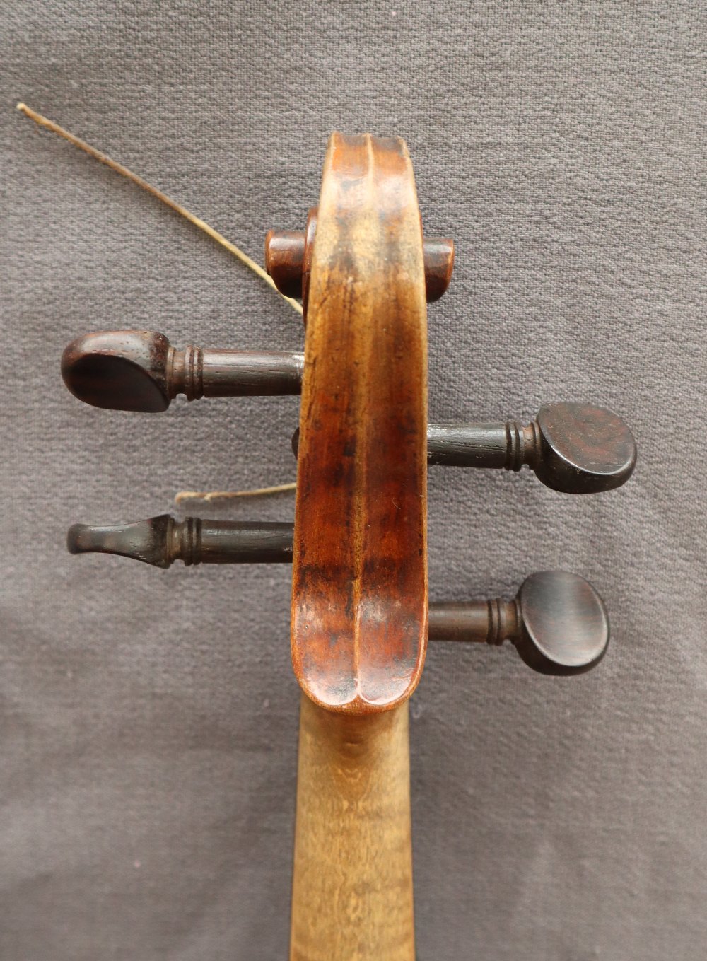 A Violin with two piece back and ebony stringing, overall 58.5cm long, back not including button 35. - Image 8 of 14