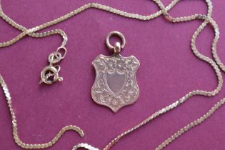 A 9ct gold shield shaped pendant and a 9ct gold chain,