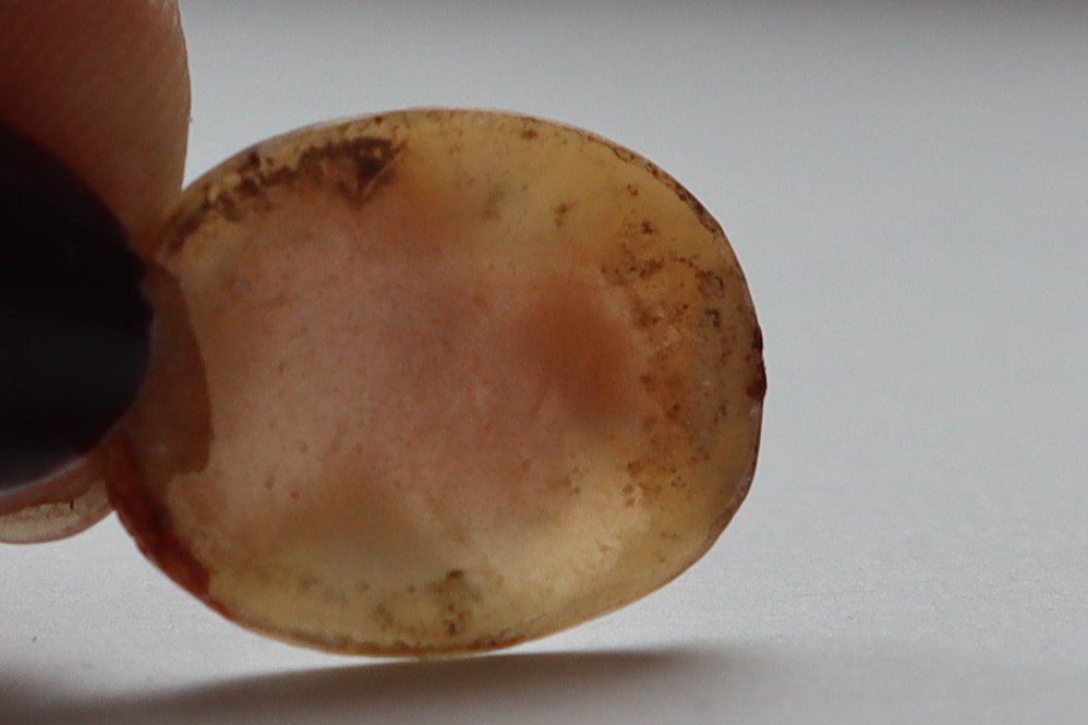 A shell cameo of oval form depicting a bacchanalian head in profile together with another small - Image 5 of 10