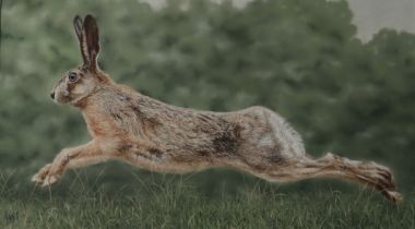Ivan Jones A fleeing Hare Pastel Initialled 26.5cm x 46.