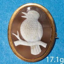 GOLD KING FISHER SHELL CAMEO BROOCH