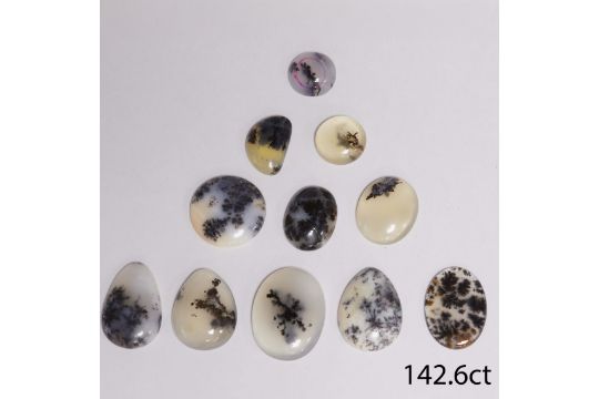 LOT OF MIXED CUT DENDRITIC AGATE