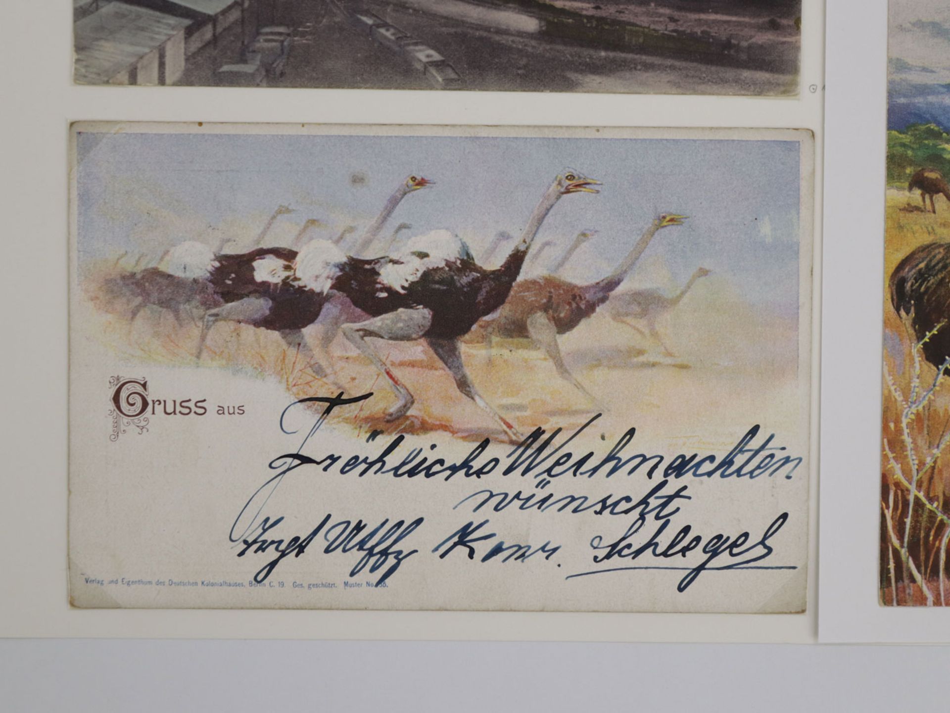 Postkarten Kolonien - Image 3 of 5