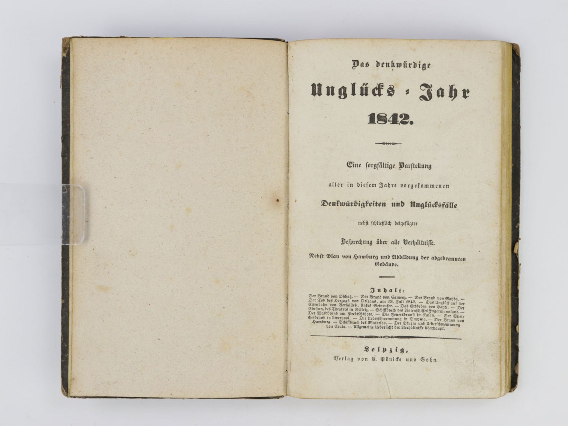 Das denkwürdige Unglücks--Jahr 1842