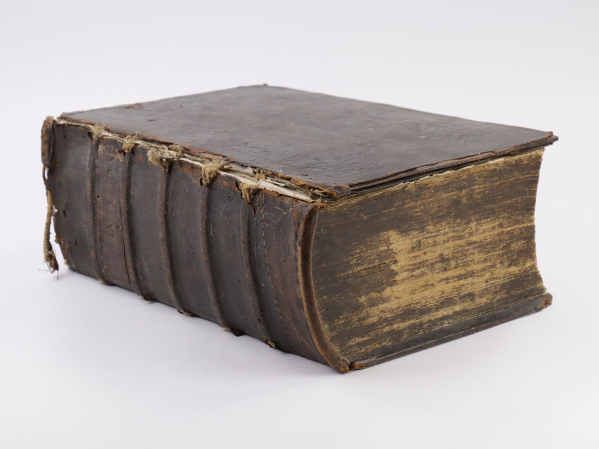 Luther-Bibel von Christoph Matthäus Pfaff, Tübingen Cotta 1729 - Bild 11 aus 11