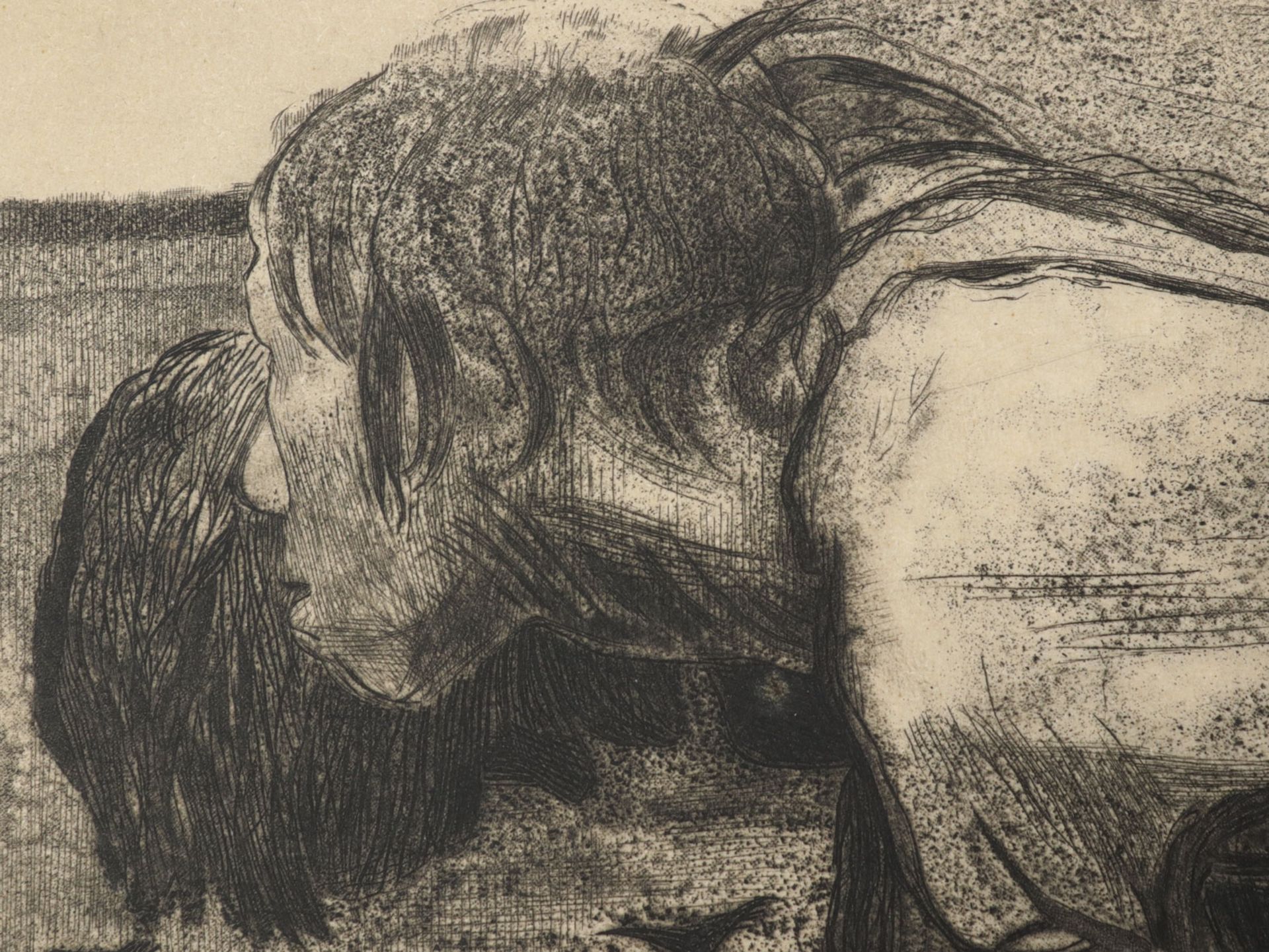 Kollwitz, Käthe - Bild 4 aus 6