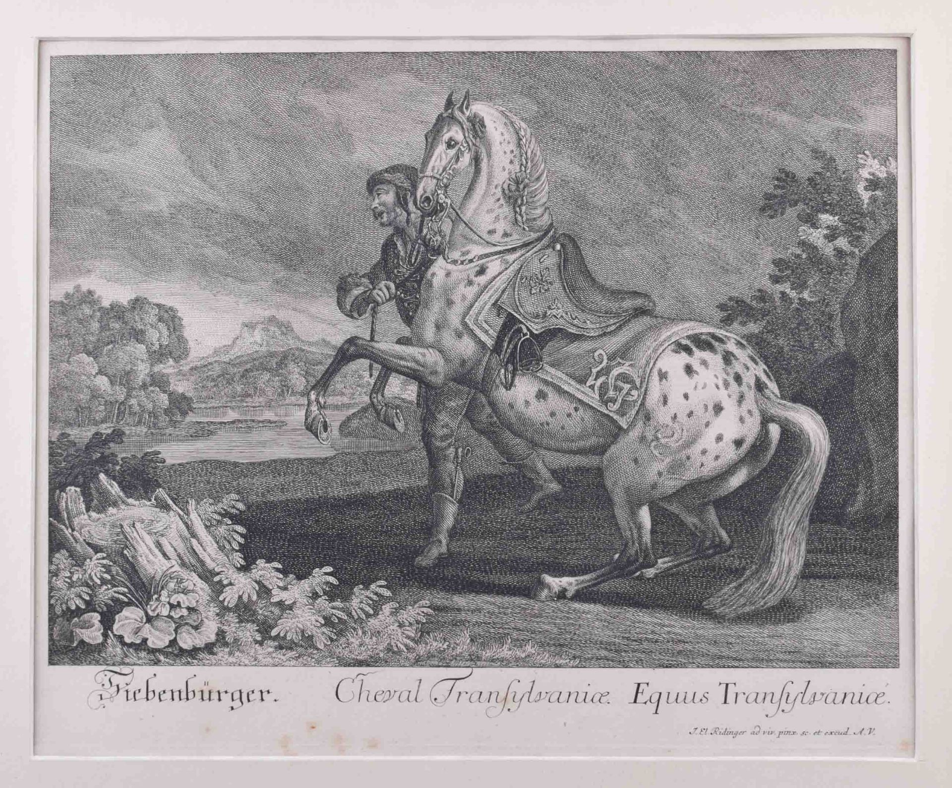 Johann Elias RIDINGER (1698-1767)