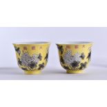 Pair of tea bowls China 