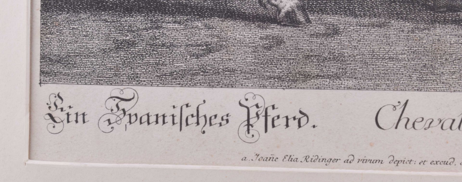 Johann Elias RIDINGER (1698-1767) - Bild 2 aus 3