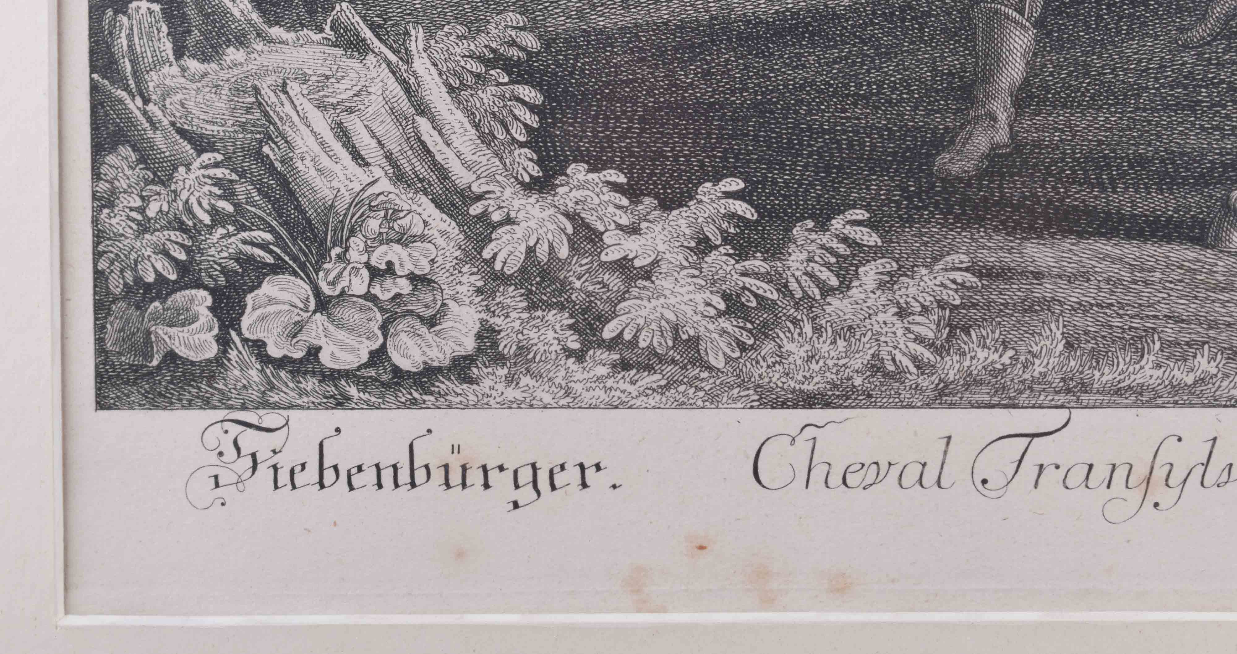 Johann Elias RIDINGER (1698-1767) - Image 2 of 3