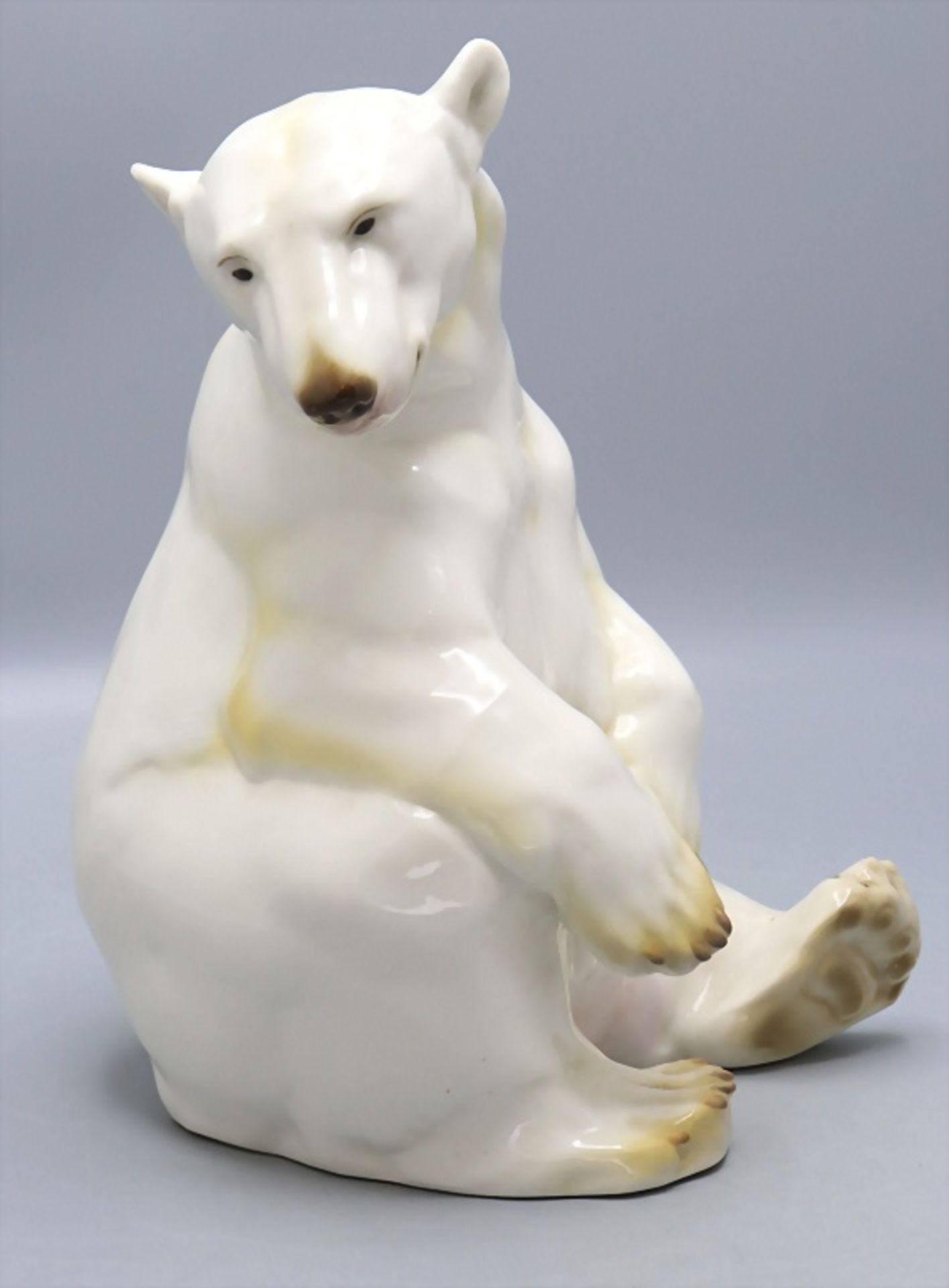 Sitzender Eisbär / A sitting polar bear, Nymphenburg, um 1913