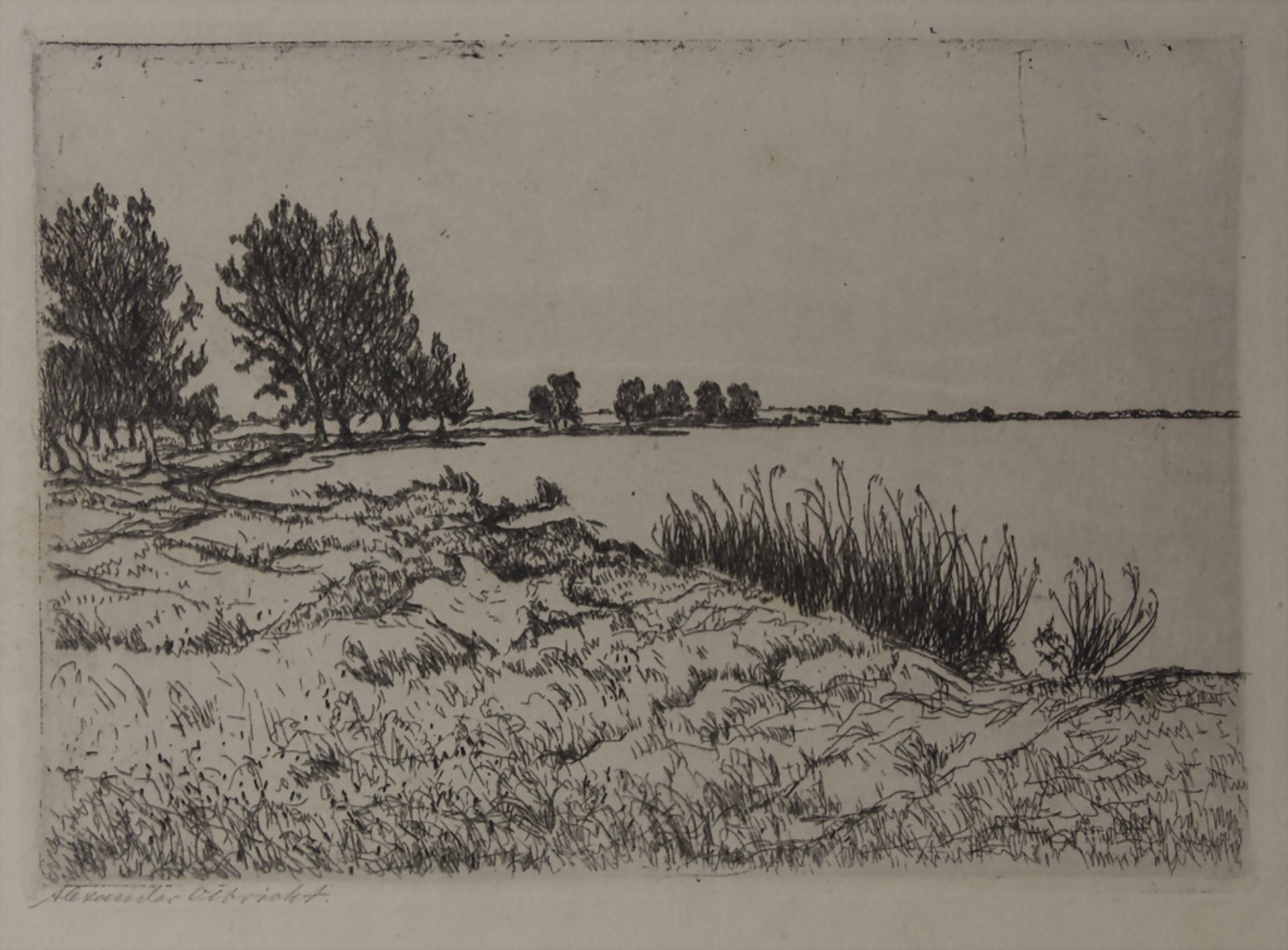 Alexander Olbricht (1876-1942), 'Seelandschaft mit Schilf und Bäumen' / 'A seascape with reed ...