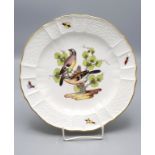 Teller mit Vögel- und Insektenmalerei / A plate with birds and insects, Meissen, 1860-1924