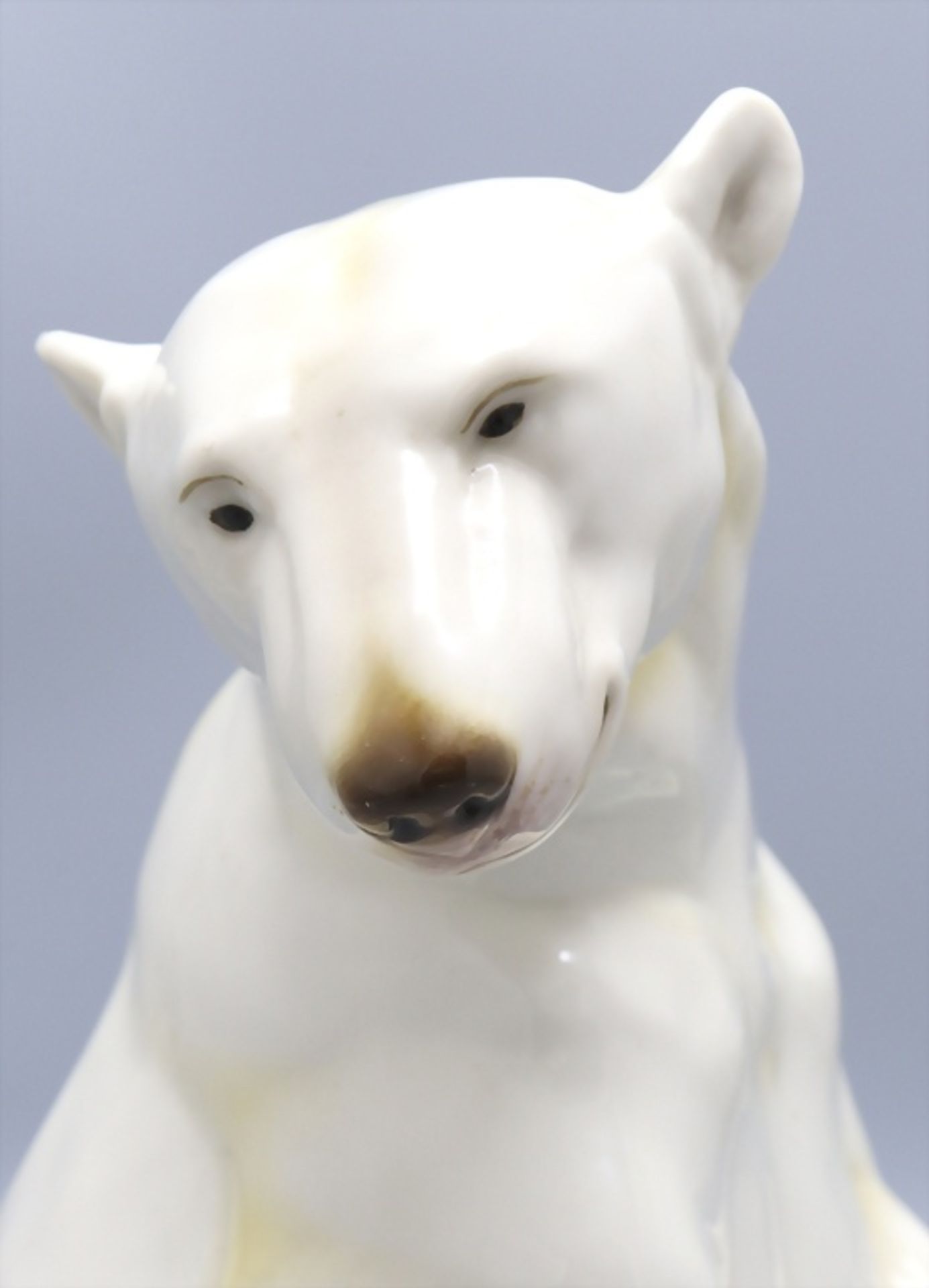 Sitzender Eisbär / A sitting polar bear, Nymphenburg, um 1913 - Bild 2 aus 7