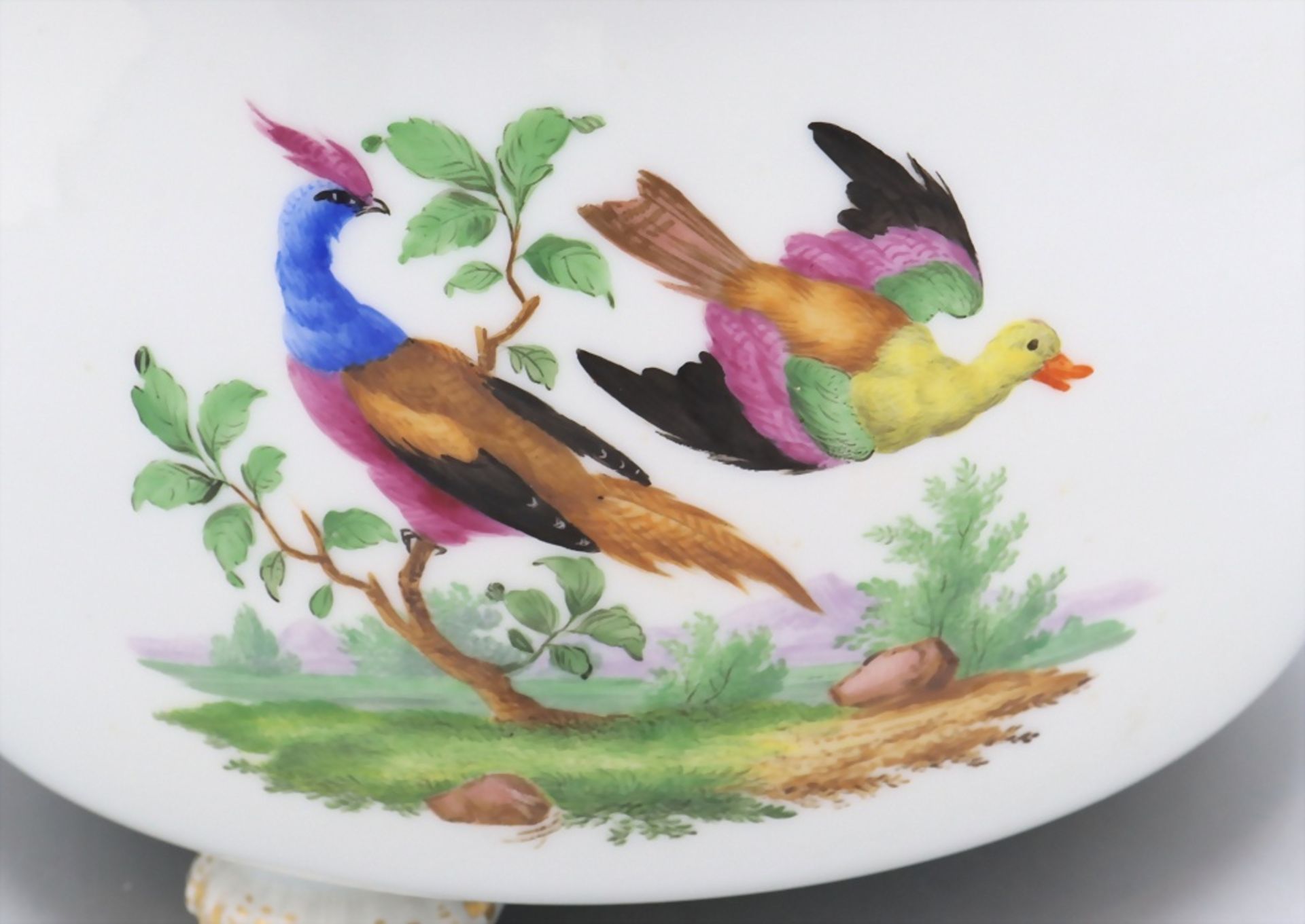 Cachepot / A flower pot with birds and insects, Meissen, 1. Hälfte 19. Jh. - Image 3 of 9