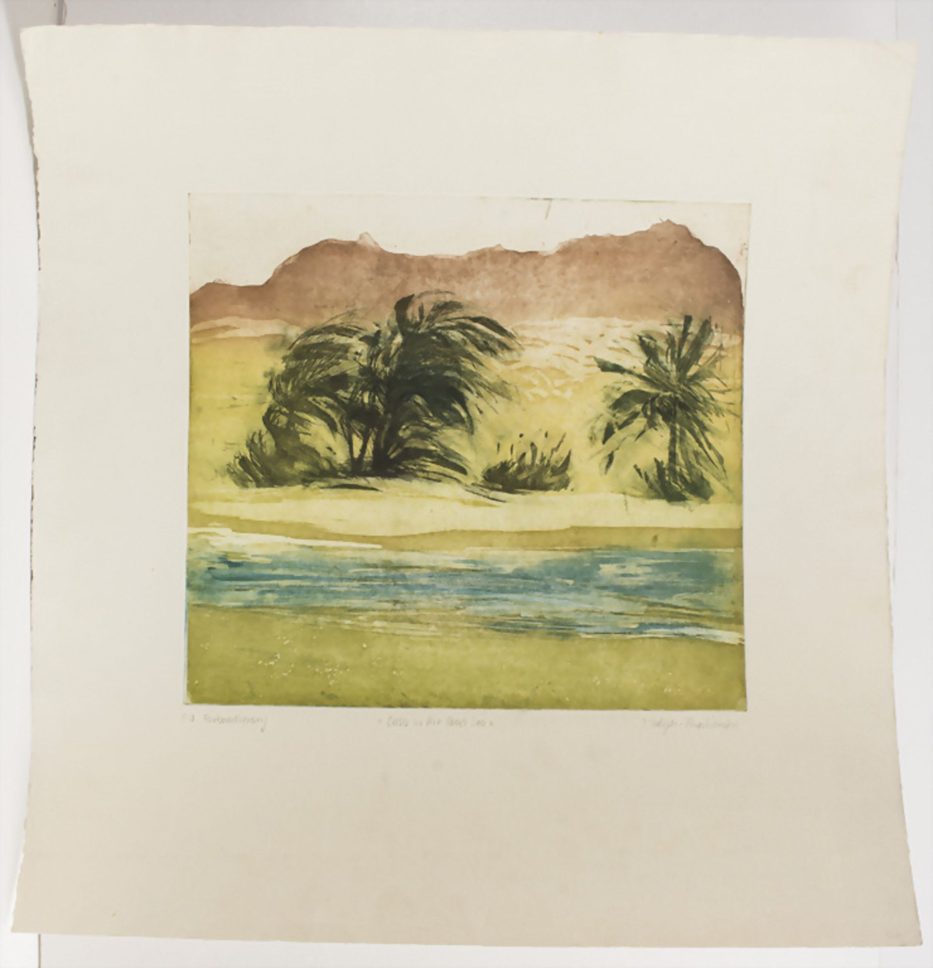 Inge Helsper-Christiansen (*1942), 'Oase am Toten Meer' / 'Oasis at the Dead Sea', 2. Hälfte ... - Image 2 of 4