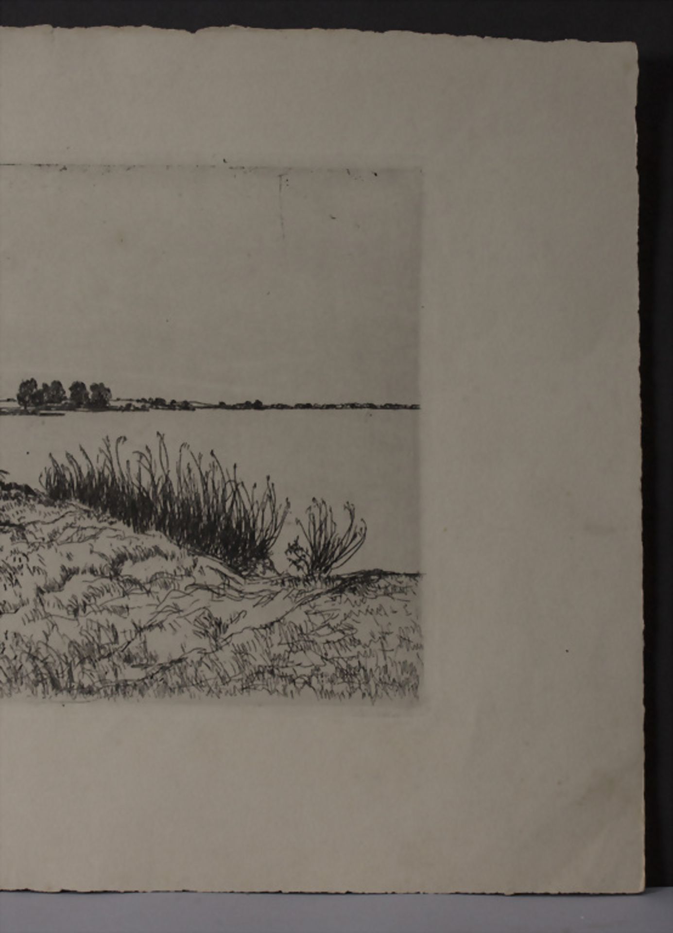 Alexander Olbricht (1876-1942), 'Seelandschaft mit Schilf und Bäumen' / 'A seascape with reed ... - Bild 5 aus 5