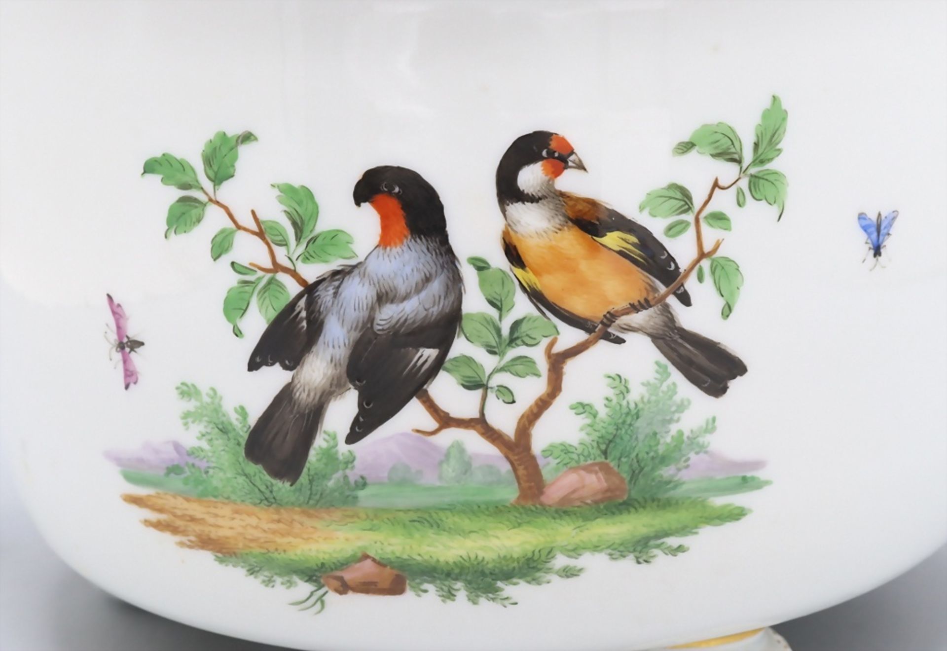 Cachepot / A flower pot with birds and insects, Meissen, 1. Hälfte 19. Jh. - Bild 4 aus 9