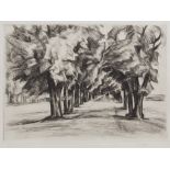 Heinrich Reiffenscheid (1872-1945), 'Lindenallee' / 'Lane of trees', 20. Jh.