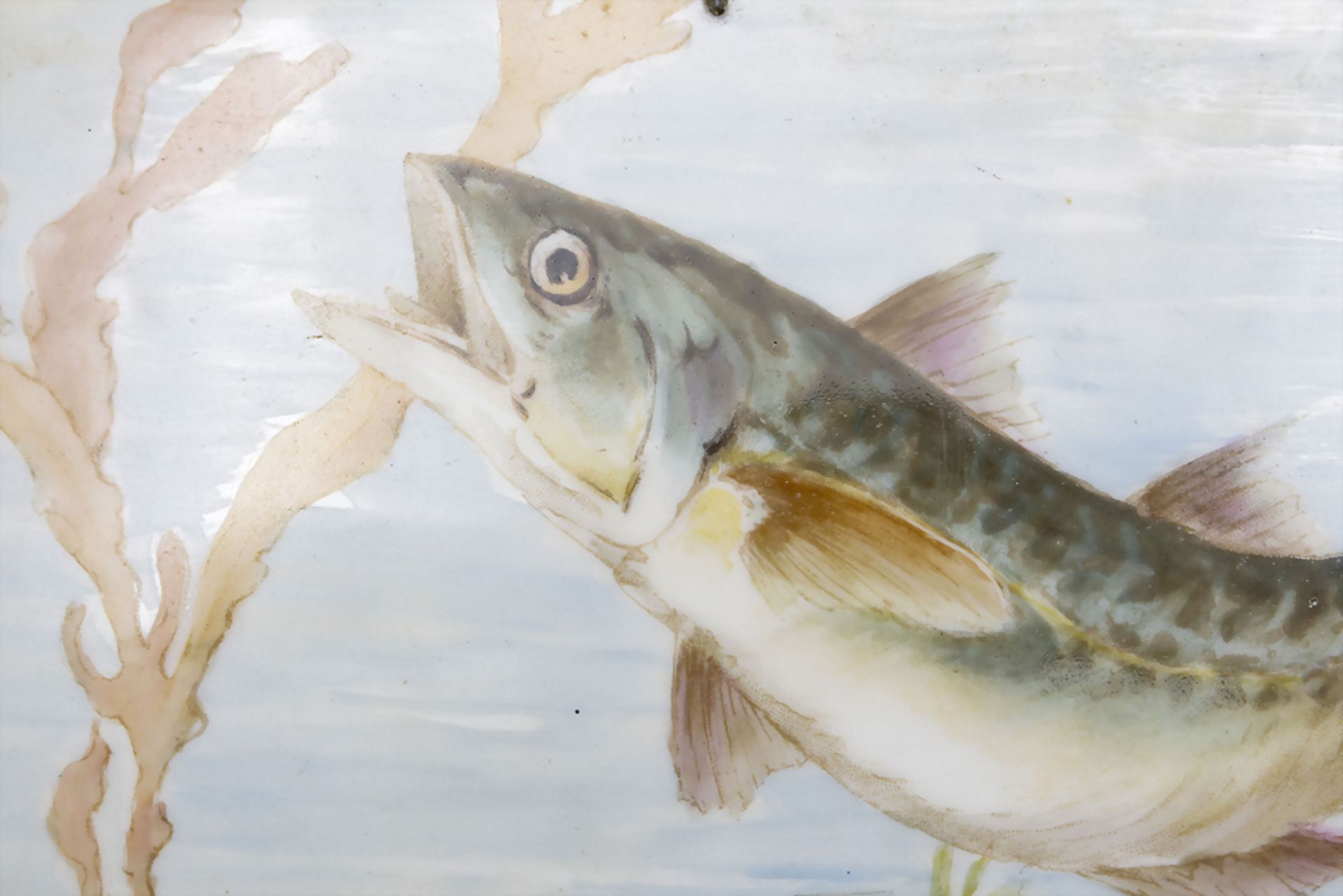 Porzellanplatte/-bild mit einer Forelle / A porcelain wall picture with a trout, Tressemann & ... - Image 2 of 4