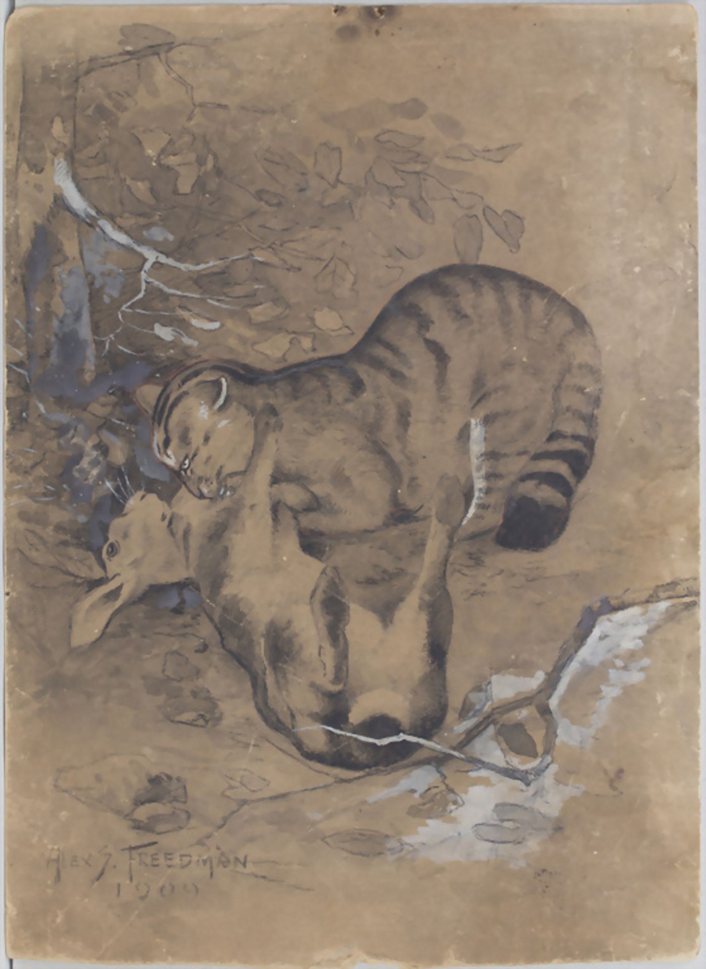 Alex S. Freedman (19./20. Jh.), 'Wildkatze mit erbeutetem Hase' / 'A wildcat with trapped hare'